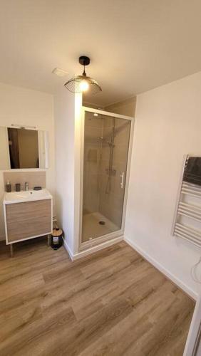 une salle de bain avec une douche en verre et un lavabo dans l'établissement Bel Appart' 3 chambres 3 Sdb au centre-ville St Etienne, à Saint-Étienne