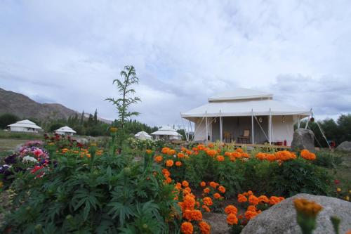 Gallery image of Chamba Camp Thiksey in Shey