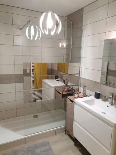 une salle de bain avec douche et lavabo dans l'établissement Appartement 2 chambres Anglet, proche Biarritz, à Anglet