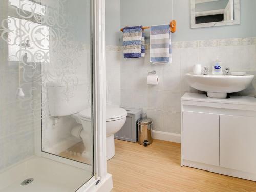a bathroom with a toilet and a sink at Curlew Cottage in Thorpe Saint Peter