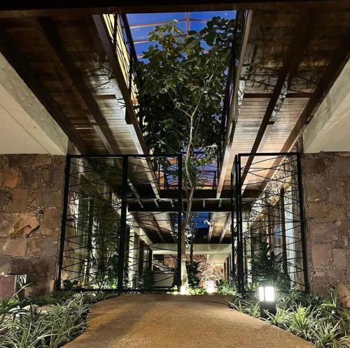 穆庫熱的住宿－Villa Andorinha, Apt 03，一座大建筑,里面有一棵树