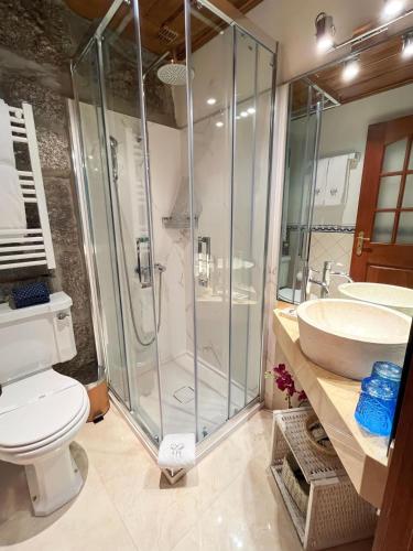 a bathroom with a shower and a toilet and a sink at Casa De Canilhas in Mesão Frio