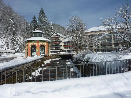 GesundheitsHotel Das Bad Peterstal – Photos 2