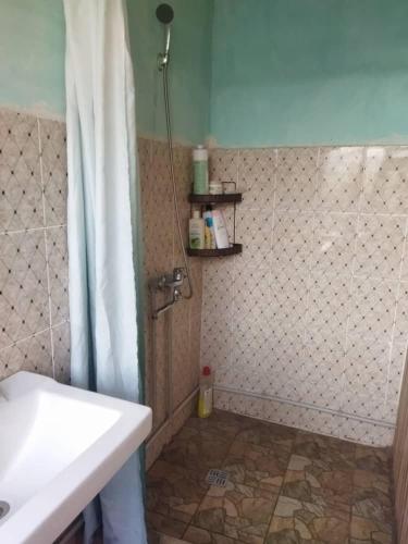 a bathroom with a shower and a sink at Buuzara Guest House in Batken