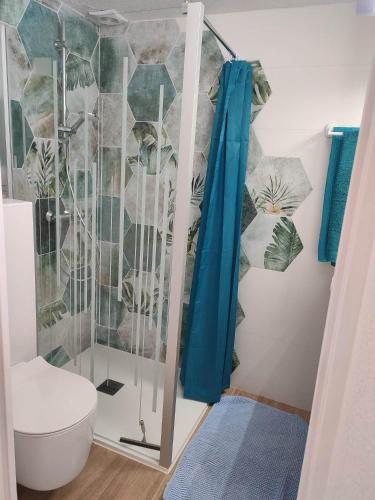 une salle de bain avec douche et toilettes dans l'établissement Maison à la plage climatisée et wifi fibre pour télétravail, à Saint-Cyprien