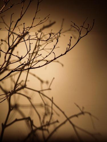 Fotografie z fotogalerie ubytování Soli Inn 宿里旅行舍 v destinaci Chua-lien