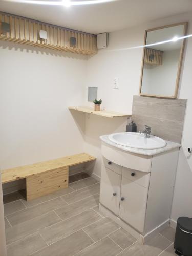 a bathroom with a sink and a mirror at Studio confort chez Lolita et Wilfried in Saint-Laurent-sur-Sèvre