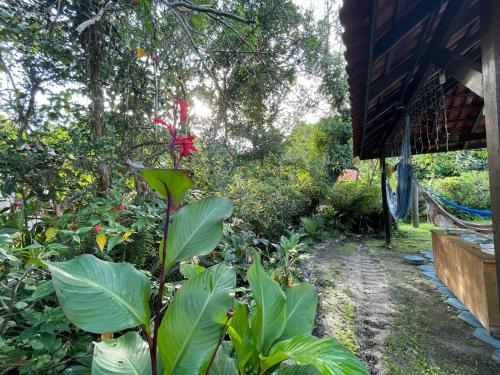 a garden with green plants and a house at Pousada do Ade in Ilha do Mel
