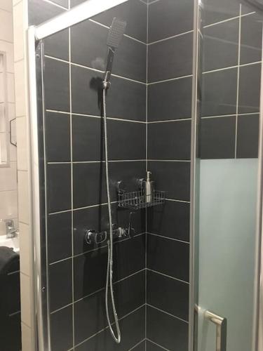 une douche avec pommeau de douche dans une salle de bain dans l'établissement VerOliv : Superbe appartement rénové proche du centre-ville, au Creusot