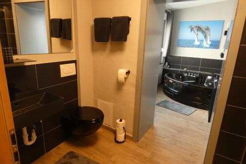 ein Badezimmer mit einem Waschbecken, einem WC und einem Spiegel in der Unterkunft Dachterrasse in Schwandorf in Bayern