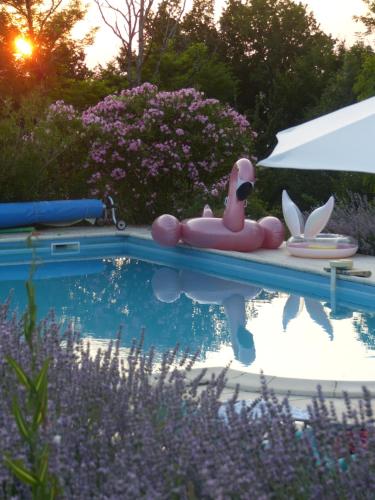 un canard en caoutchouc rose dans une piscine dans l'établissement La Quietat Montbarla, à Montbarla