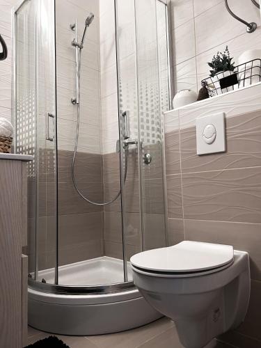 a bathroom with a shower and a toilet at Studio Apartman Lucija in Osijek