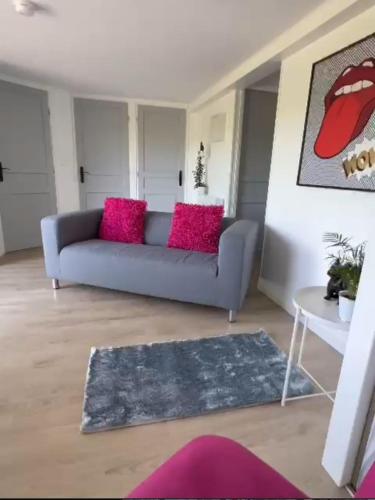 uma sala de estar com um sofá cinzento e almofadas cor-de-rosa em Chambres d'hôtes Elcy 