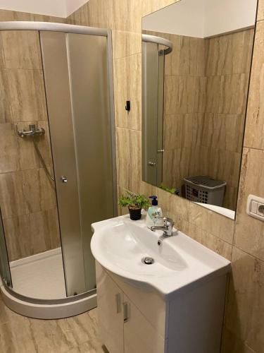 Koupelna v ubytování Mall Luxury Apartment