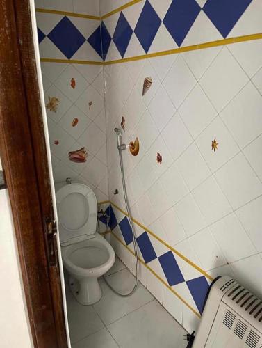 a bathroom with a toilet and a shower at Appartement in Oulad Yakoub