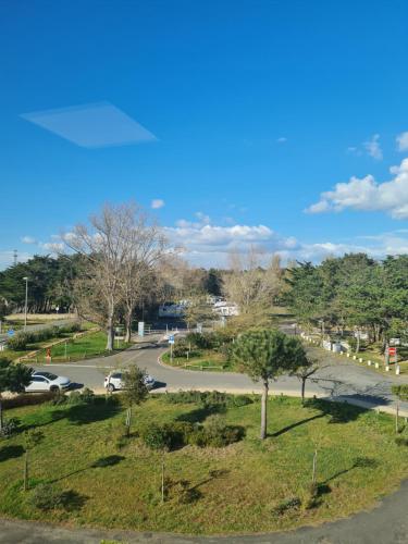 - une vue sur un parc avec un arbre et une rue dans l'établissement Saint jean de monts Studio plein de charme, à Saint-Jean-de-Monts