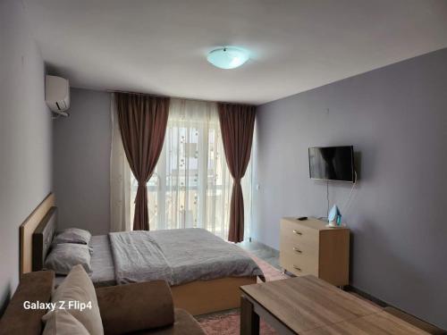 TV a/nebo společenská místnost v ubytování Studio Ivana