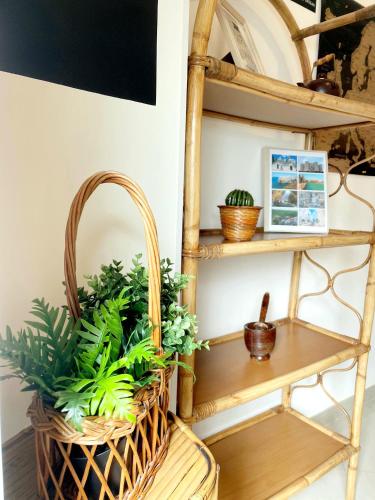 a basket with plants in it next to a shelf at LA MURGIA casa vacanze B&B in Grumo Appula