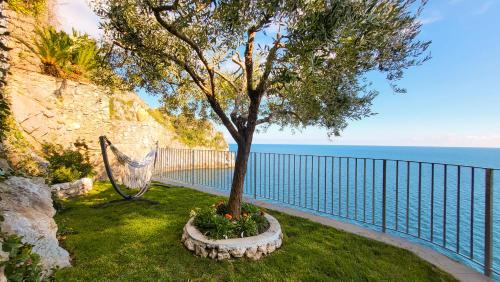 a hammock under a tree next to the water at Villa Eris Amalfi Coast in Conca dei Marini