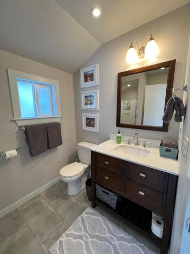 a bathroom with a sink and a toilet and a mirror at The Midtown Cottage- w/ Private Entrance and Views in Santa Cruz