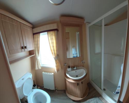 a bathroom with a sink and a toilet and a shower at Alfie's House in Lincoln