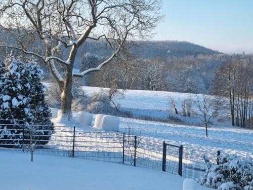 ein schneebedecktes Feld mit einem Zaun und einem Baum in der Unterkunft Hinter'm Mäuerchen 