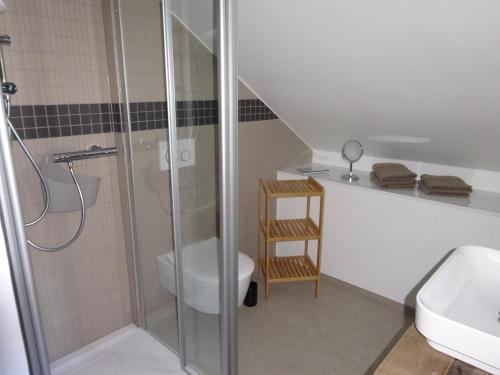 La salle de bains est pourvue d'une douche, de toilettes et d'un lavabo. dans l'établissement Exklusive, kernsanierte Ferienwohnung am Rursee, à Simmerath