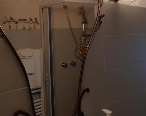 a shower in a bathroom with a glass door at La Baronessa Country House in Montefiascone