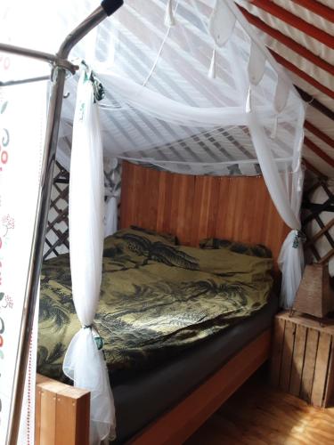 een bed in een kamer met een baldakijn bij Todo se pasa Yurt in Sauwerd