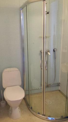 a bathroom with a toilet and a glass shower at Tana Vertshus in Bånjakas