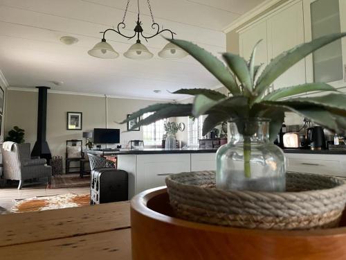a plant in a glass vase sitting on a table at Kerriston Guest House in Mooirivier