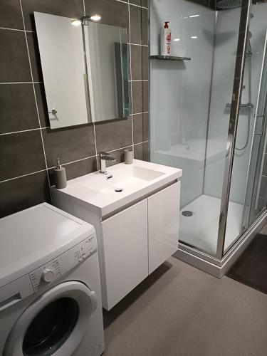 une salle de bain avec un lavabo et une machine à laver dans l'établissement Super appartement 6 voyageurs hyper centre, à Montluçon