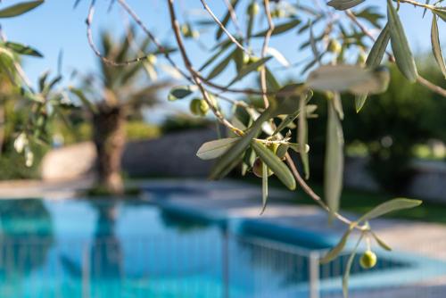 Relais Le Ginestreの敷地内または近くにあるプール