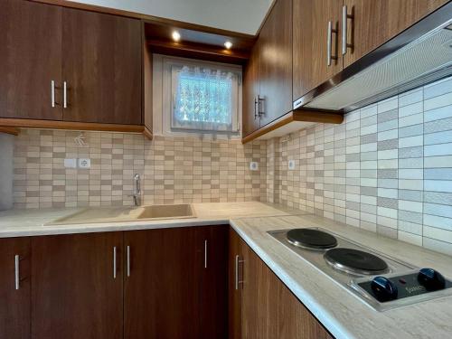 a kitchen with wooden cabinets and a sink and a stove at Armonia Elegant Apartments in Rovies