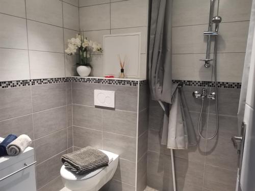 een badkamer met een douche, een toilet en een wastafel bij Le Pommiers in Pommiers-en-Forez