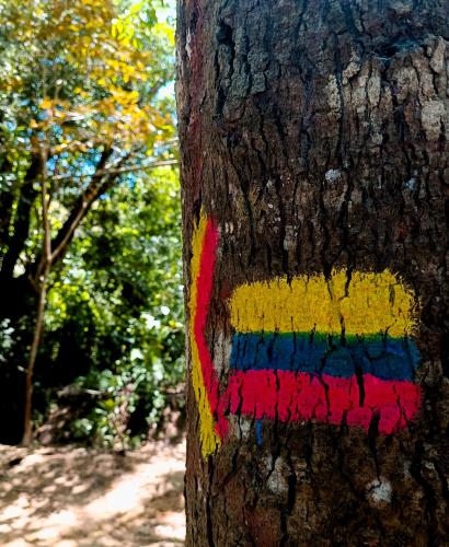 エル・ザイノにあるECOCABAÑA LA HAMACA GRANDE un encuentro con la naturaleza, alquiler por camasの側面に虹が描かれた木