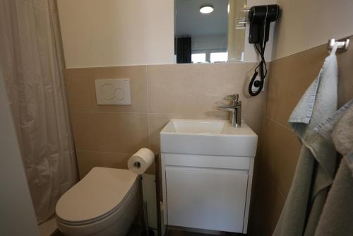 a bathroom with a toilet and a sink and a mirror at Pension Christine in Neu-Anspach