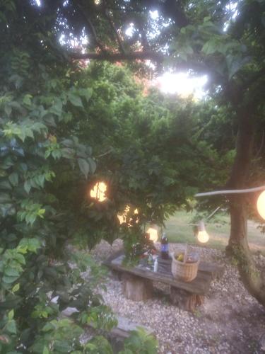 Κήπος έξω από το Apartament Jak z obrazka