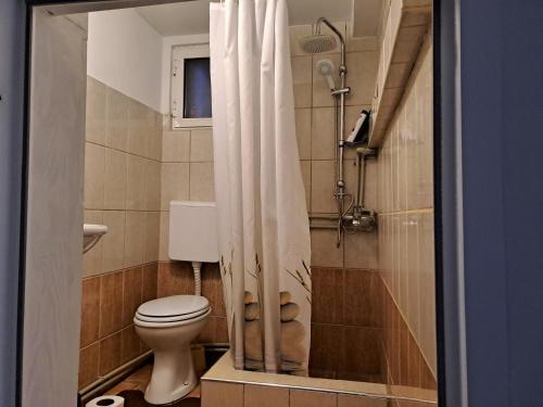 La salle de bains est pourvue d'une douche et de toilettes. dans l'établissement Svetlana's Apartments, à Jurumleri