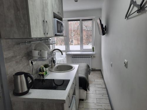 una pequeña cocina con fregadero y ventana en Посуточно мини-студия метро Дорогожичи Киев, en Kiev