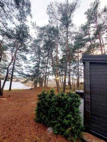 a bush in a field with trees and a body of water at GaujaUpe 2 in Gauja