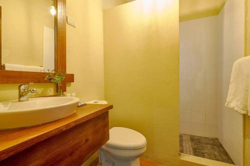 a bathroom with a sink and a toilet and a mirror at Escape Chalet at Pinar del Sol in Jarabacoa in Jarabacoa