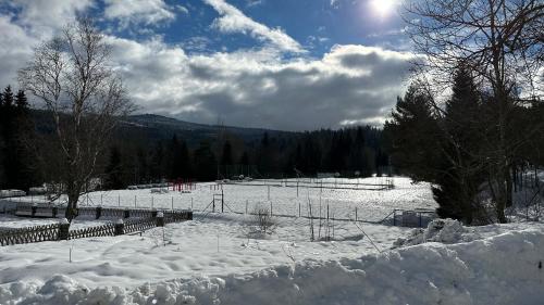 a snow covered field with a fence and trees at Apartmán Kovárna in Prášily
