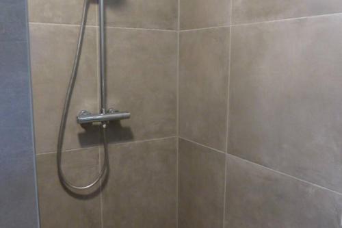 een douche met een douchekop in de badkamer bij het Beerzer Boshuis in Beerze