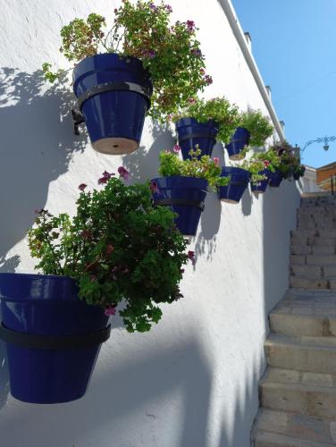 a row of blue potted plants on a wall at OPUNTIA Hotel Boutique in Mijas