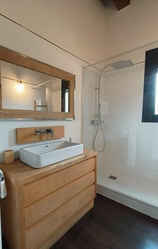 a bathroom with a white sink and a shower at CASA RURAL ALEGRE in La Fresneda