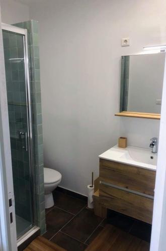 une salle de bain avec toilettes, lavabo et douche dans l'établissement Logement à Brive avec terrasse et climatisation - près de la gare et du centre-ville - Wifi et Stationnement gratuit, à Brive-la-Gaillarde