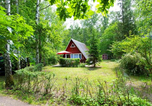 a red cabin in the middle of a forest at Ferienhaus Katharina in Malschwitz