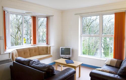 salon z kanapą i telewizorem w obiekcie Castlewhite Apartments - UCC Summer Beds w Cork