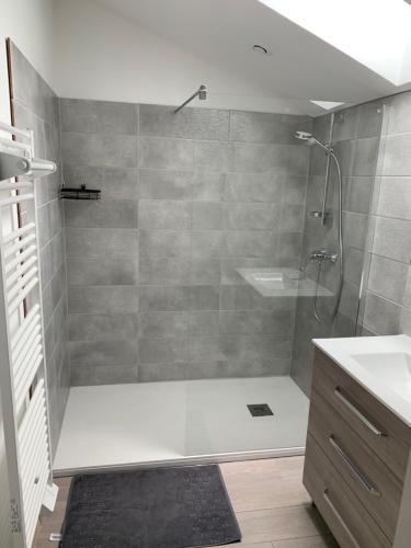 a bathroom with a shower and a sink at Appartement Cosy La Maison de Jean in Oiron